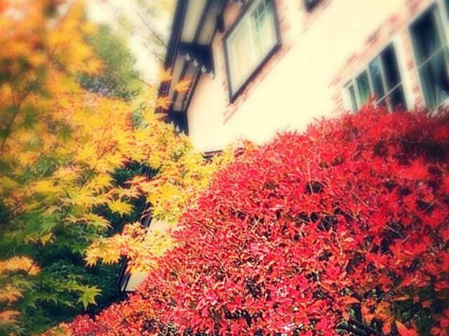 ホテル ペンション　キャンディタフト 軽井沢町 エクステリア 写真